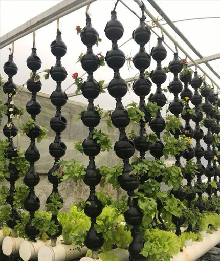 Plastico Reciclado para Agroindustria