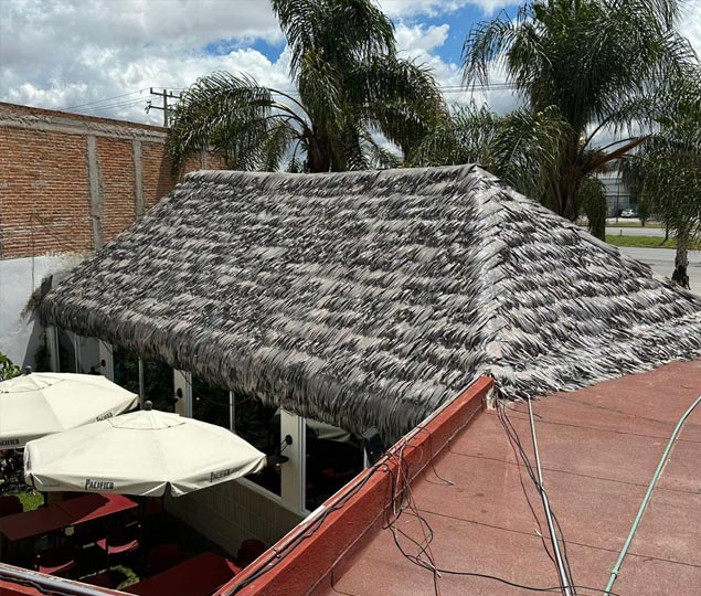 Fabricante de Palma Sintética