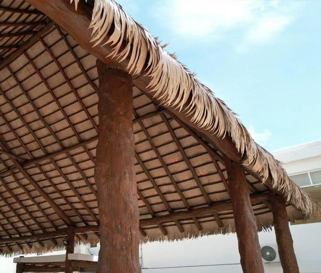 Fabricante de Palma Sintética
